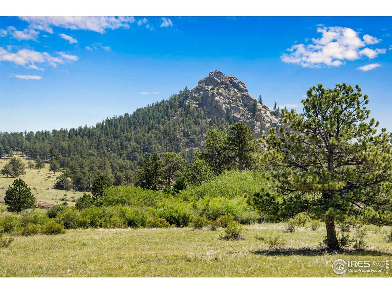 0 Red Feather Lakes Road, Unit 18 Livermore, CO 80536 - Photo 11 of 39