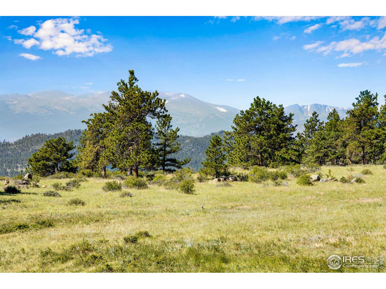 0 Red Feather Lakes Road, Unit 18 Livermore, CO 80536 - Photo 19 of 39