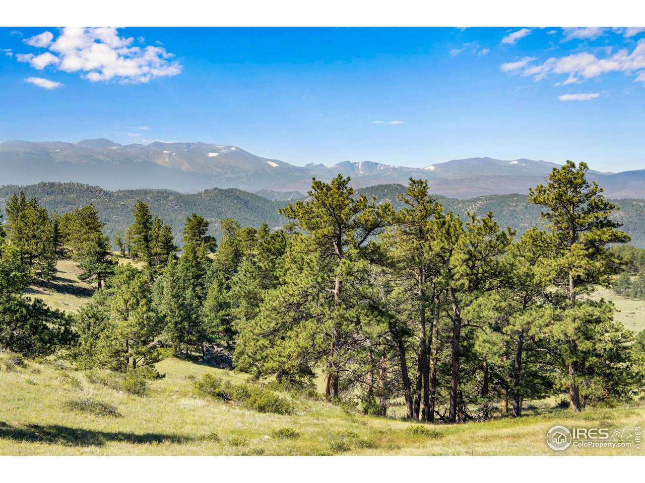 0 Red Feather Lakes Road, Unit 18 Livermore, CO 80536 - Photo 21 of 39