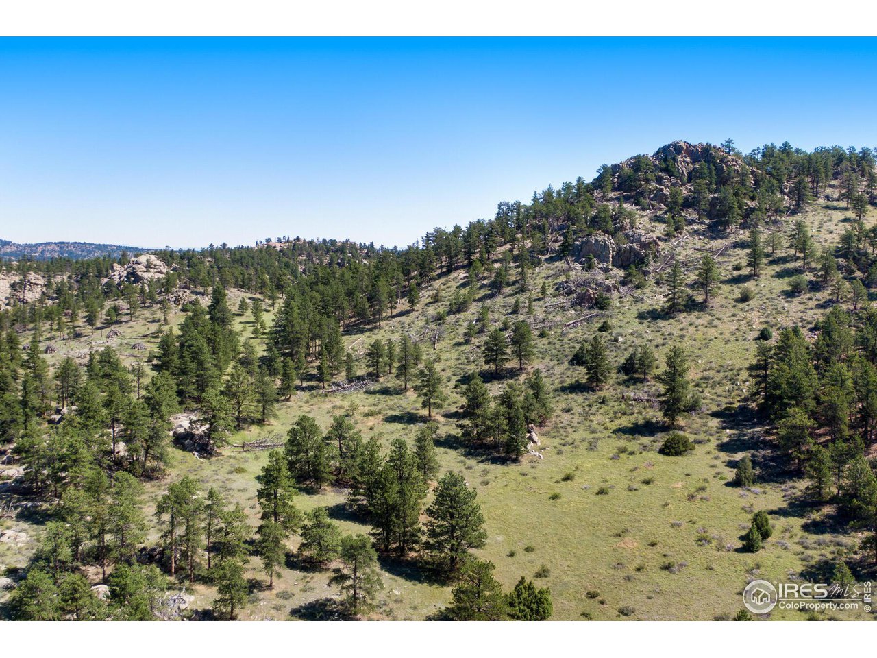 0 Red Feather Lakes Road, Unit 18 Livermore, CO 80536 - Photo 28 of 39