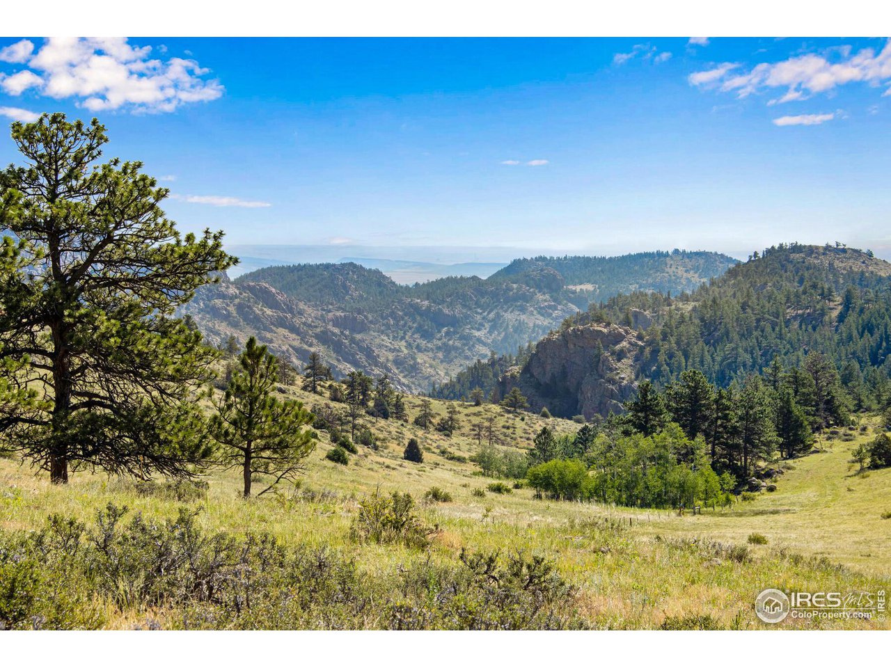 0 Red Feather Lakes Road, Unit 18 Livermore, CO 80536 - Photo 29 of 39