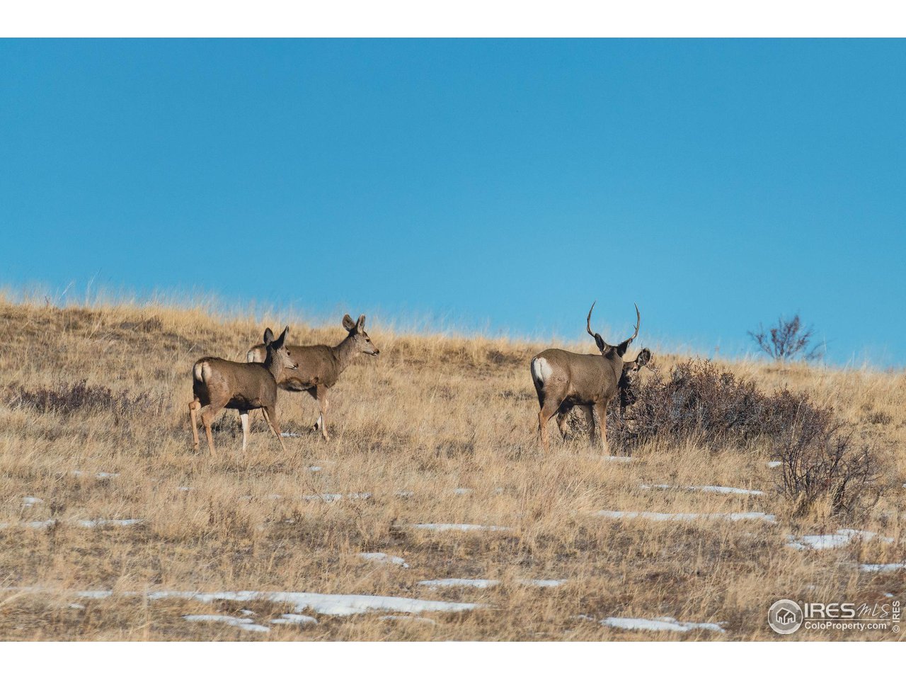 0 Red Feather Lakes Road, Unit 18 Livermore, CO 80536 - Photo 30 of 39