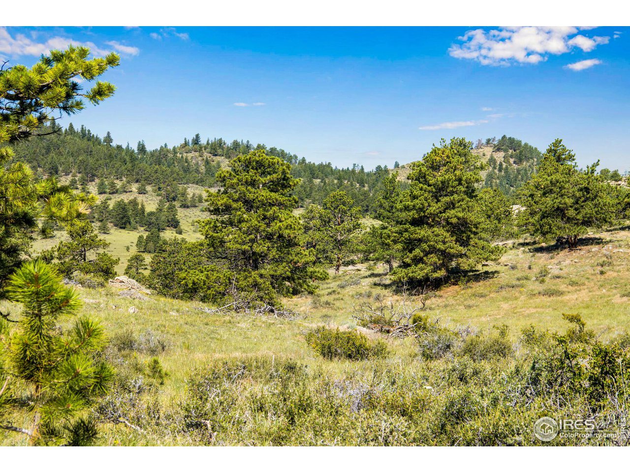 0 Red Feather Lakes Road, Unit 18 Livermore, CO 80536 - Photo 31 of 39