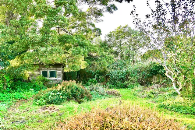 a view of a house with a tree