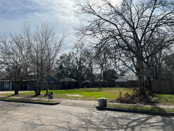 a view of a yard with plants
