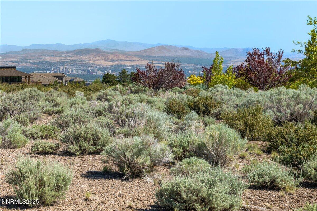 5725 Flowering Sage Trail Reno, NV 89511 - Photo 10 of 18 11-DSC_8886