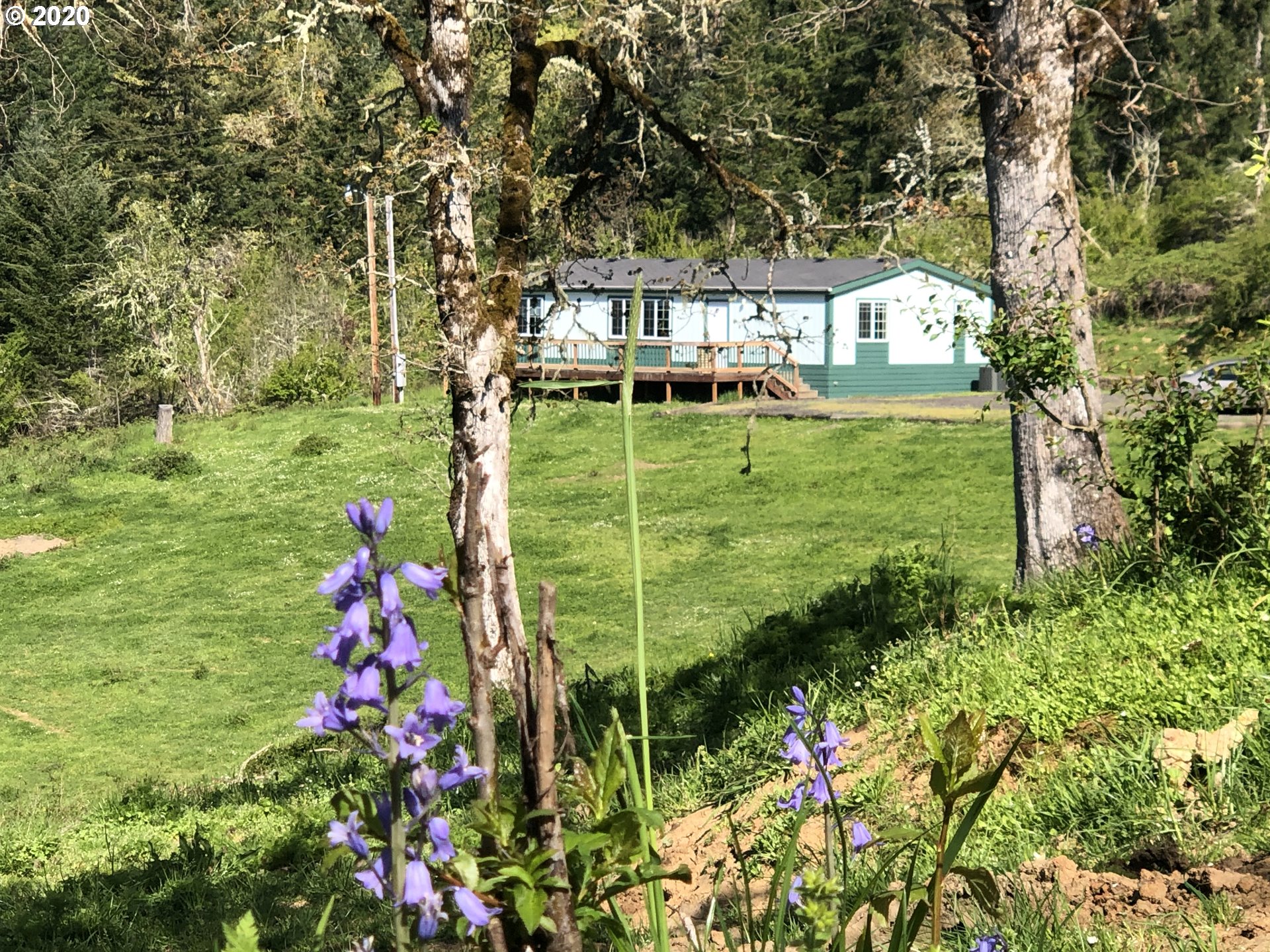 1209 Hayhurst Road Yoncalla, OR 97499 - Photo 1 of 27 Gallery Image 1