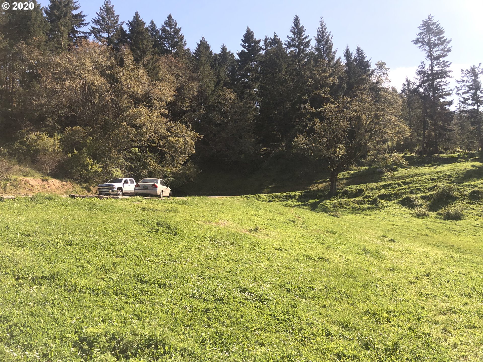 1209 Hayhurst Road Yoncalla, OR 97499 - Photo 22 of 27 Gallery Image 22
