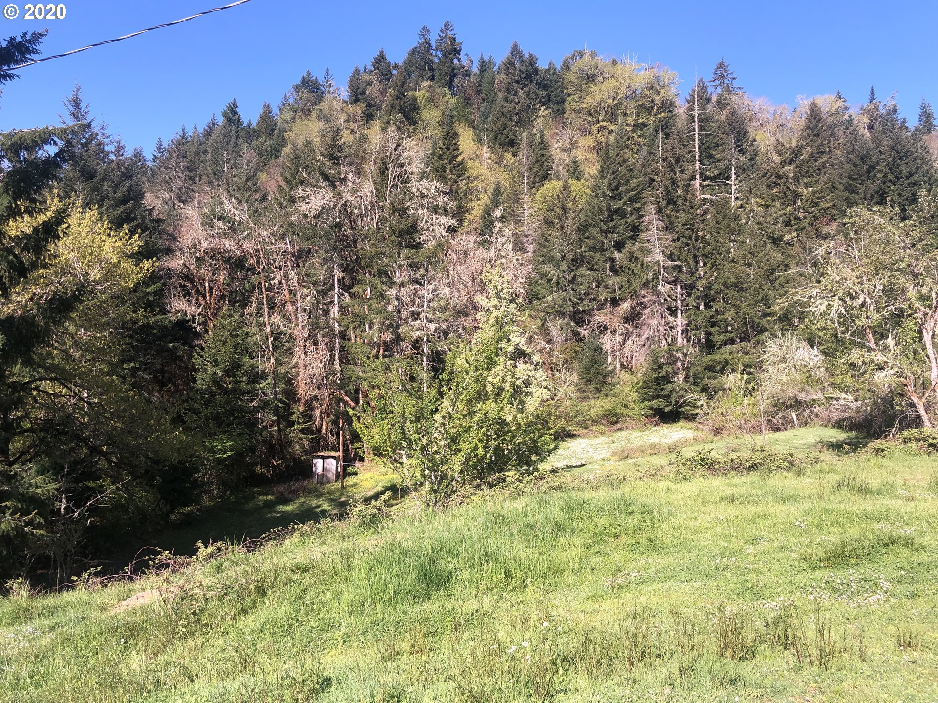1209 Hayhurst Road Yoncalla, OR 97499 - Photo 26 of 27 Gallery Image 26