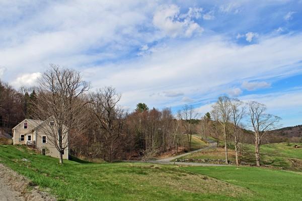 859 Greenfield Road Leyden, MA 01337 - Photo 2 of 42 a view of a garden with an trees