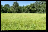 Harris Lane Madison, MS 39110 - Photo 2 of 3 Picture3