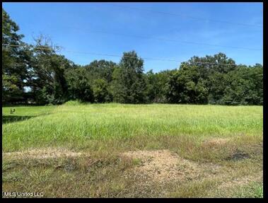 Harris Lane Madison, MS 39110 - Photo 3 of 3 Picture1