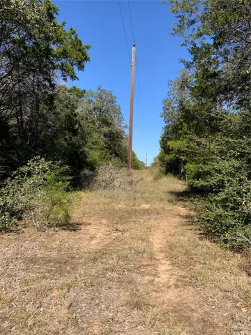 a view of a yard with plants and a tree