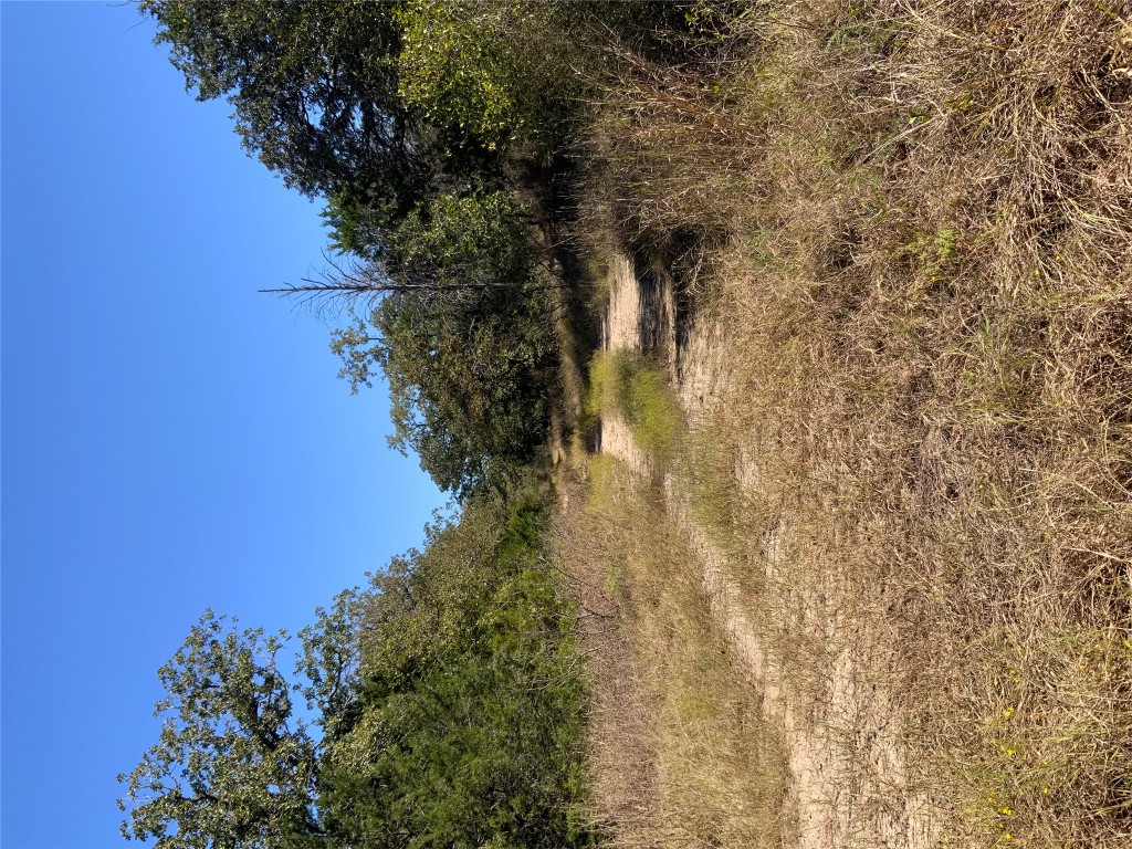 0 County Road 304 McDade, TX 78650 - Photo 7 of 15 a backyard of a house with lots of green space