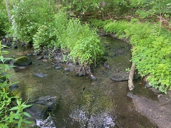 8 Wilson Street Spencer, MA 01562 - Photo 3 of 7