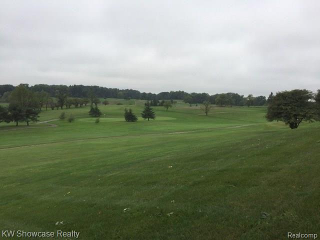 10018 Hegel Road Goodrich, MI 48438 - Photo 11 of 44 IMG_3258.jpeg