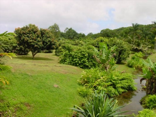 4 Kahuna Road, Unit 2 Kapaa, HI 96746 - Photo 6 of 9 a view of a garden