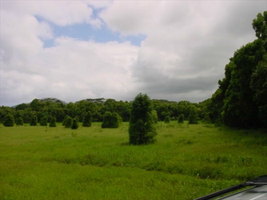 4 Kahuna Road, Unit 2 Kapaa, HI 96746 - Photo 8 of 9 a view of a grassy field with trees