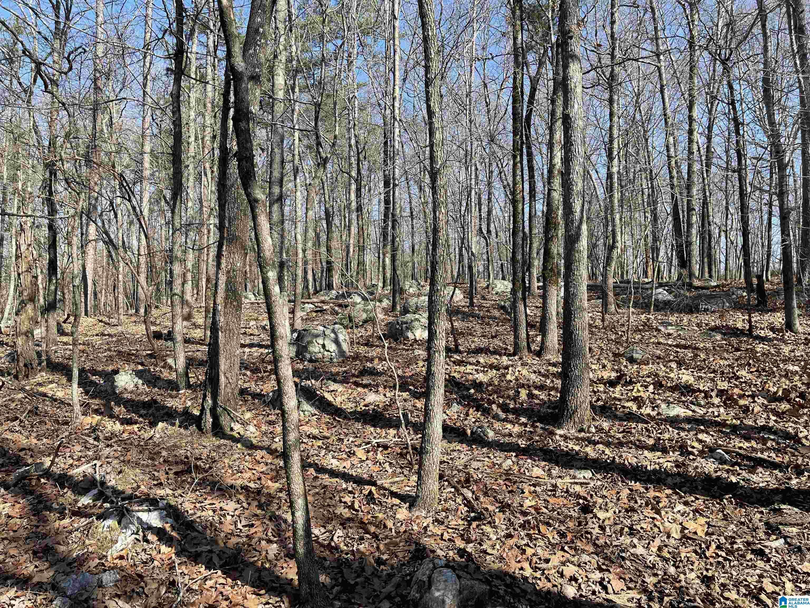 0 County Road 852, Unit 3 Ranburne, AL 36273 - Photo 13 of 23
