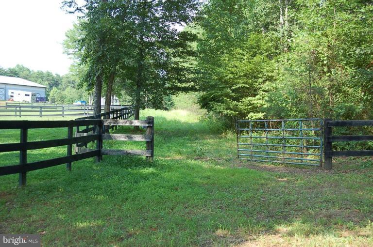 Putnam's Mill Road Hume, VA 22639 - Photo 3 of 6 View of Lane