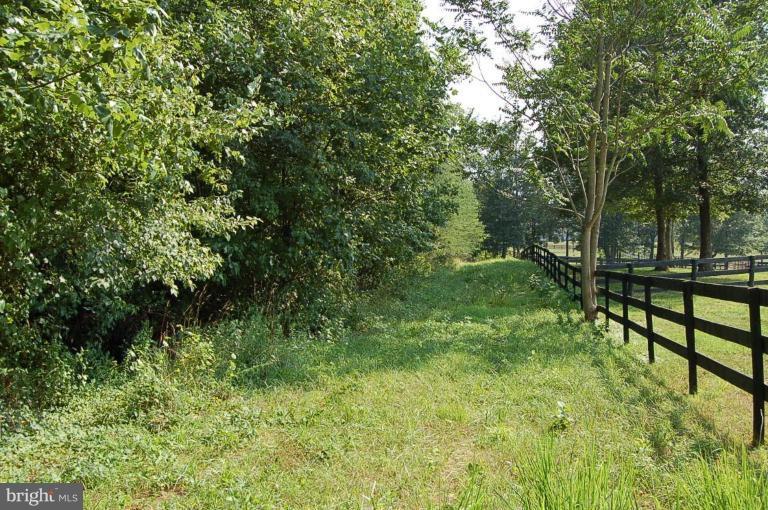 Putnam's Mill Road Hume, VA 22639 - Photo 4 of 6 Lane looking from lot to main gate.