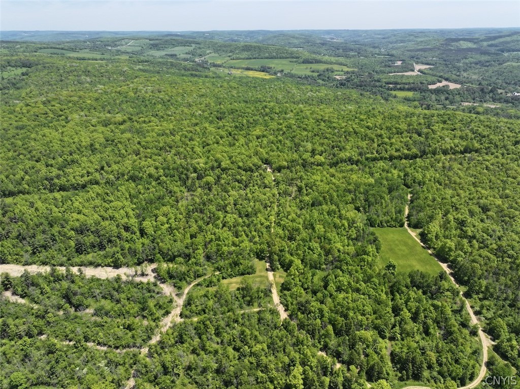 River Road Belmont, NY 14813 - Photo 2 of 23