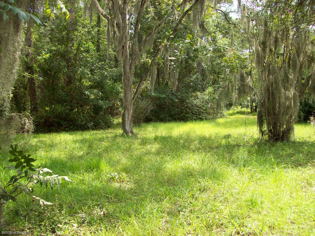 4475 Springbank Road Green Cove Springs, FL 32043 - Photo 2 of 3 more land
