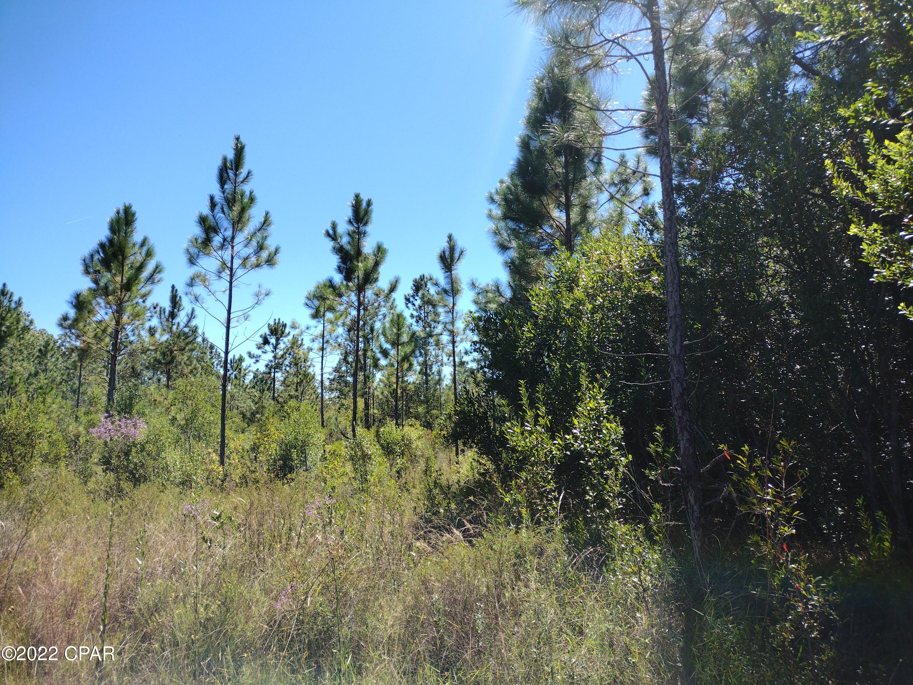 10695 Cowels Road Fountain, FL 32438 - Photo 3 of 8 Gallery Image 3