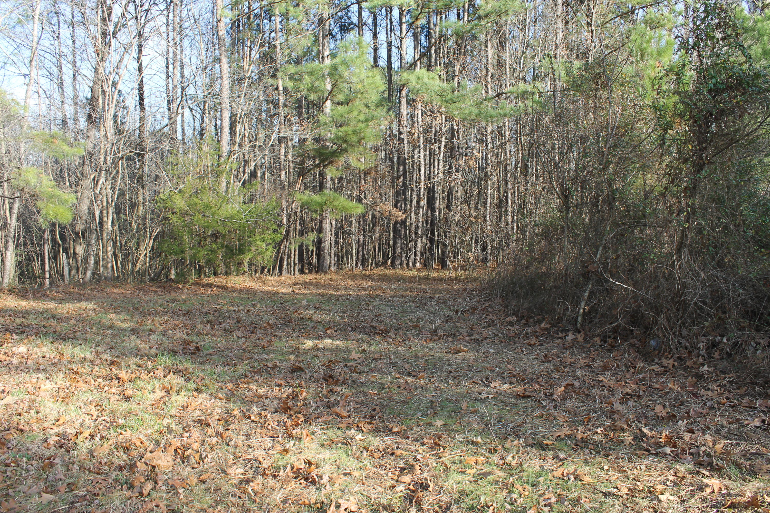 371 Dan Road Robbins, NC 27325 - Photo 5 of 9 IMG_3099