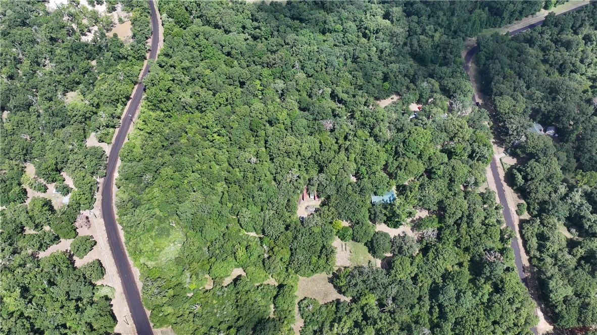 12255 County Road Centerville, TX 75833 - Photo 26 of 26 a view of a lush green forest with large trees