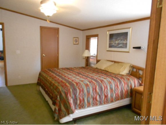 167 Lance Road Davisville, WV 26142 - Photo 9 of 24 Master bedroom