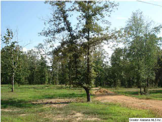 Armstrong Road, Unit 4 Cedar Bluff, AL 35959 - Photo 3 of 7