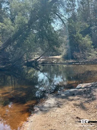 $100,000 | 0 Wolf Log Road, Flomaton, AL 36441