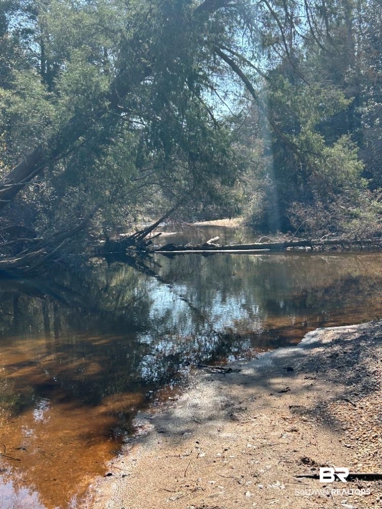 0 Wolf Log Road Flomaton, AL 36441 - Photo 1 of 3