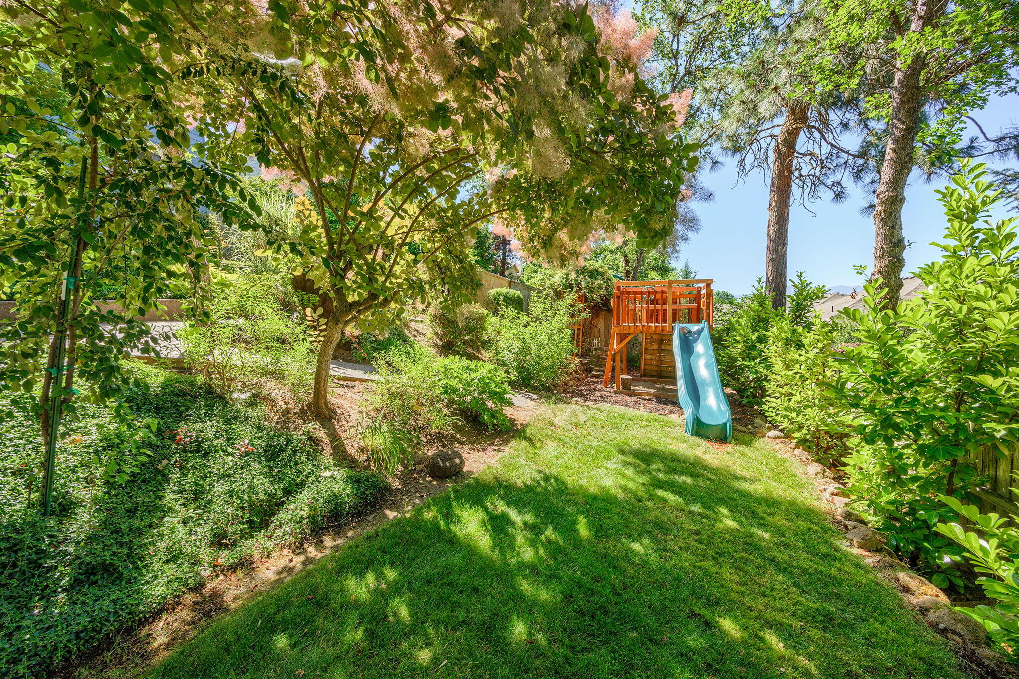 523 Ridgeway Avenue Central Point, OR 97502 - Photo 64 of 68 a backyard of a house with lots of green space