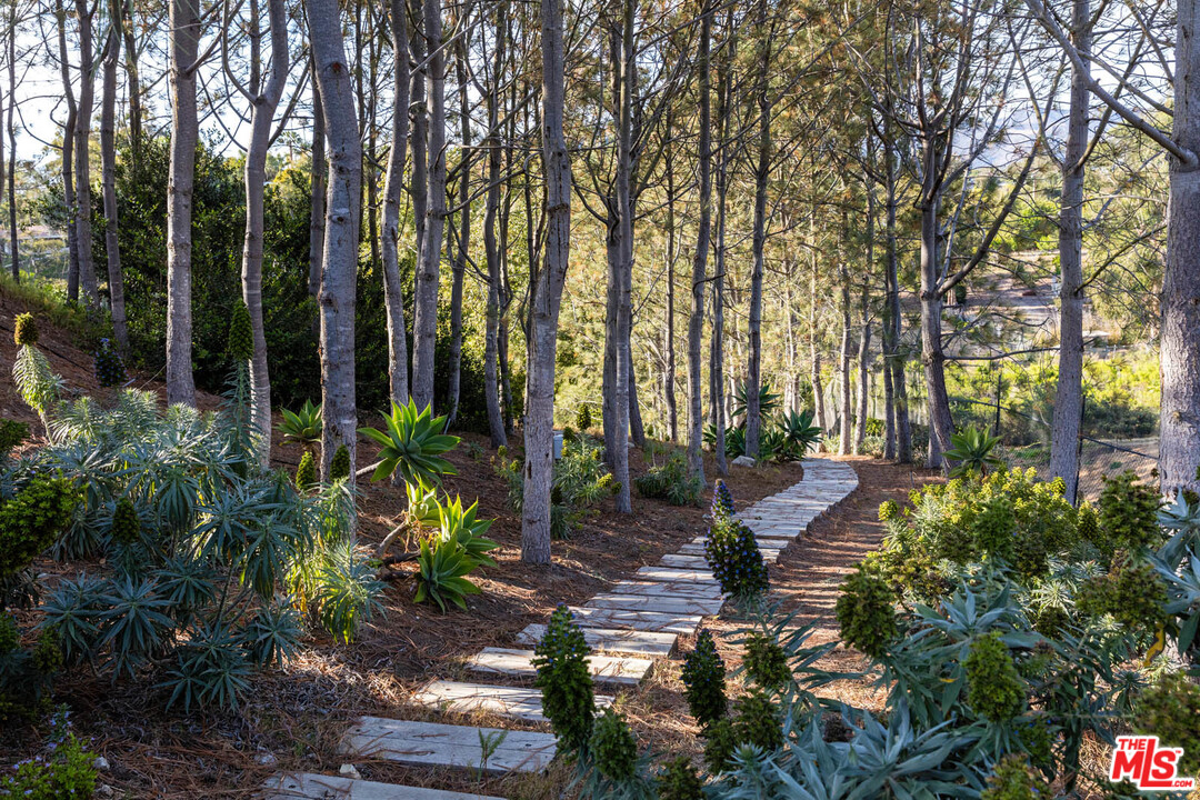 29075 Grayfox Street Malibu, CA 90265 - Photo 29 of 29