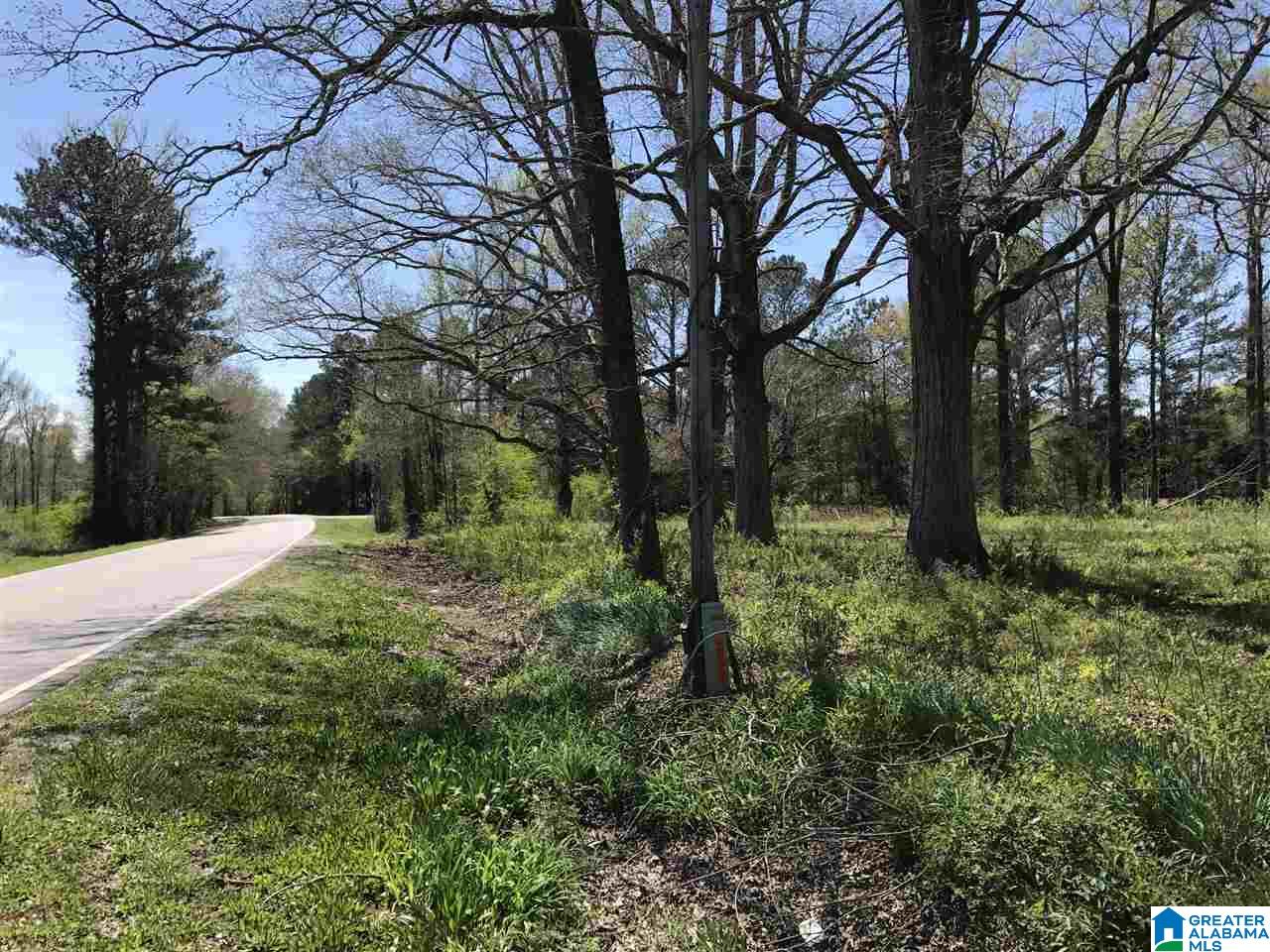 4133 Roy Webb Road, Unit 1 Jacksonville, AL 36265 - Photo 5 of 40