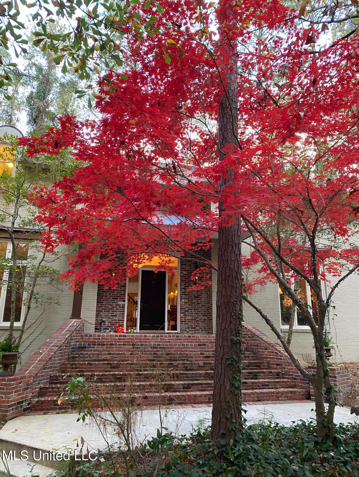 75 Tidewater Road Hattiesburg, MS 39402 - Photo 8 of 63 IMG_7008