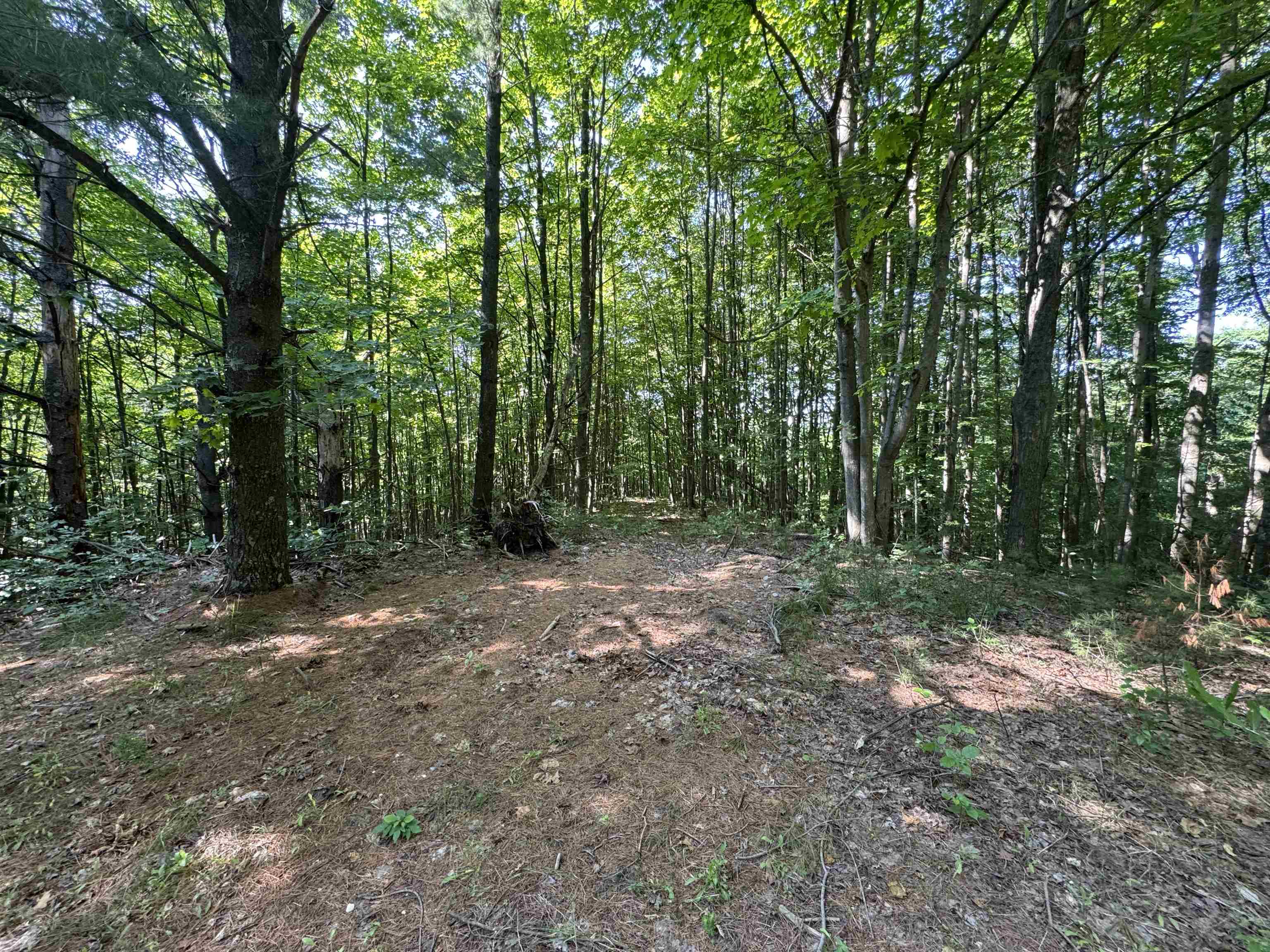 Lot #6 East Bellinger Road, Unit 6 BELLINGER ESTATES (FIN) Cedar, MI 49621 - Photo 20 of 34
