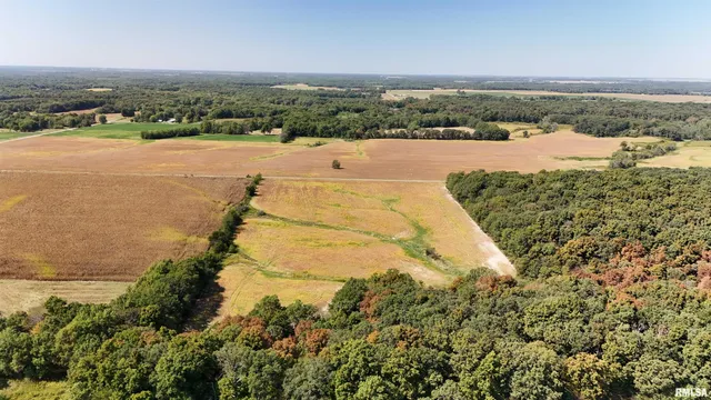 $166,000 | E Tallowtree Drive, Xenia, IL 62899