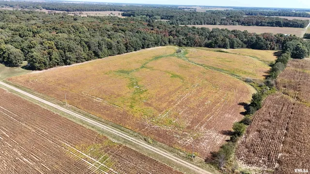 $166,000 | E Tallowtree Drive, Xenia, IL 62899