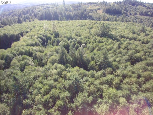 0 Northeast Thompson Road Yacolt, WA 98675 - Photo 15 of 23 Gallery Image 15
