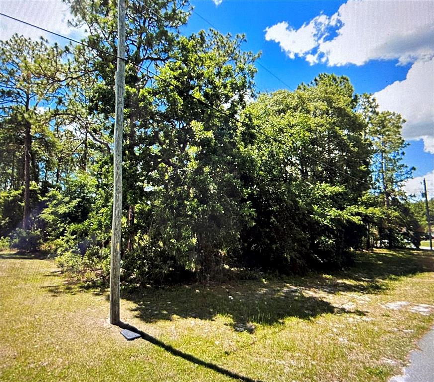 Southwest 77th Circle Ocala, FL 34473 - Photo 1 of 1 Gallery Image 1