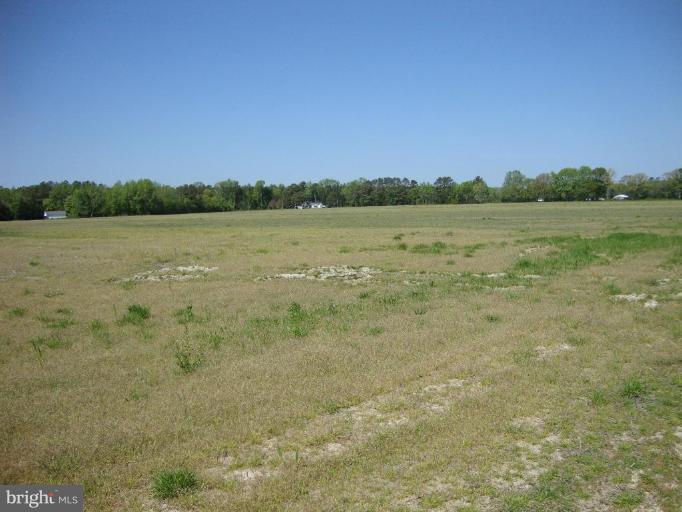5230 Bethlehem Road Preston, MD 21655 - Photo 5 of 5 a view of a lake from a yard