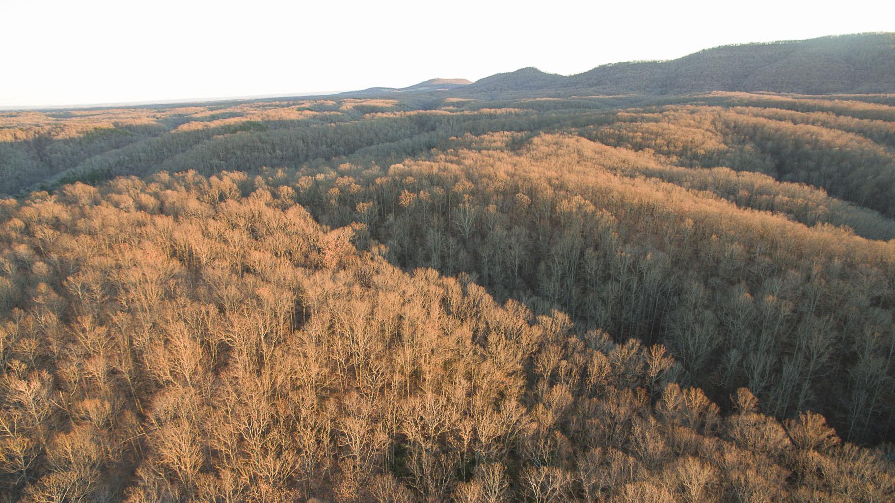 133 Kings Ridge Road Liberty, TN 37095 - Photo 14 of 18 Gallery Image 14