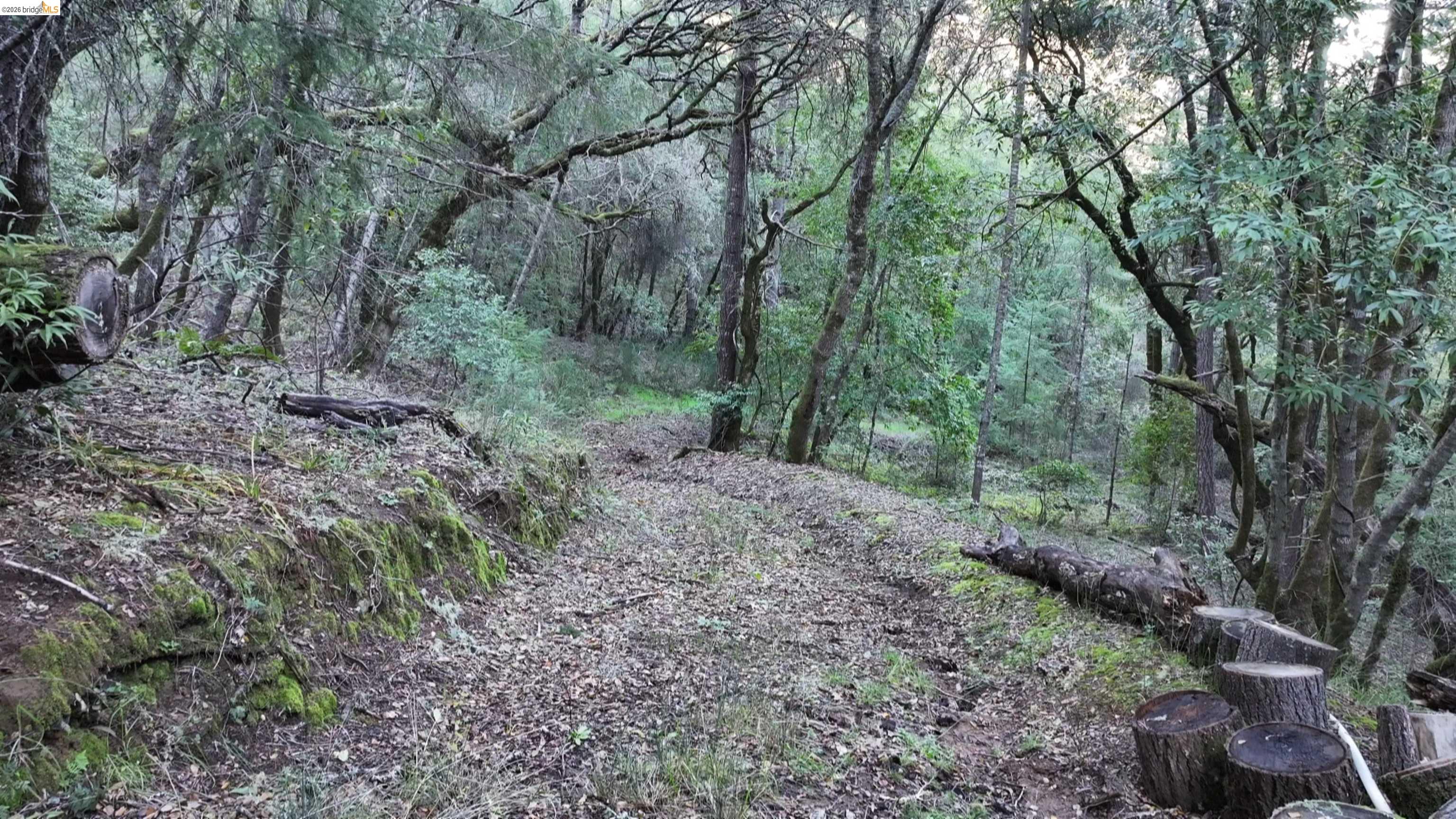 5051 Harrison Grade Road Sebastopol, CA 95472 - Photo 21 of 31