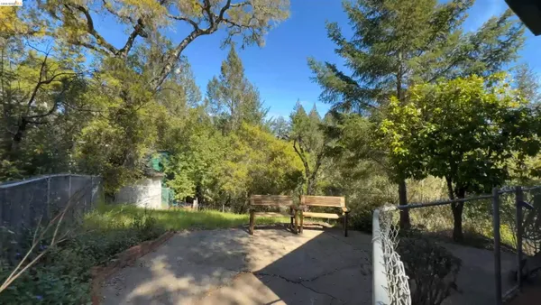 a view of a yard in front of a house with a large tree