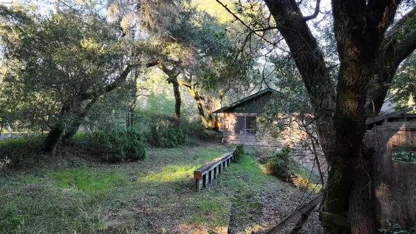 a view of a forest filled with trees