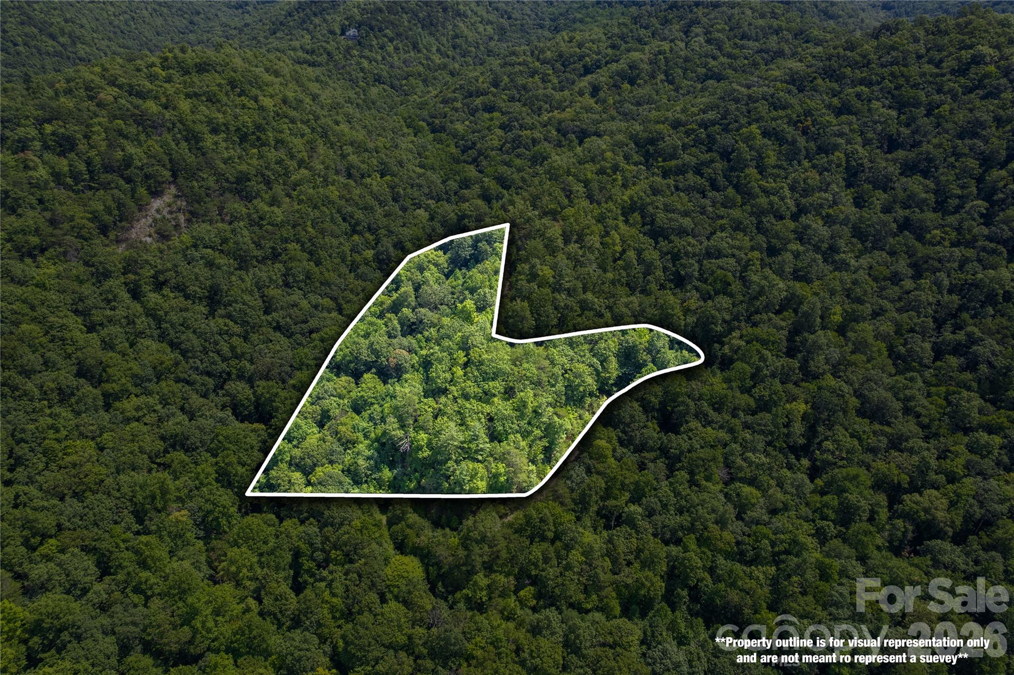 Off Little East Fork Road, Unit L1 Canton, NC 28716 - Photo 8 of 18 Gallery Image 8