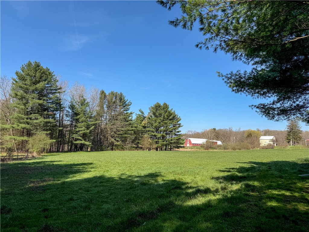 5974 East Koy Road Genesee Falls, NY 14536 - Photo 43 of 50